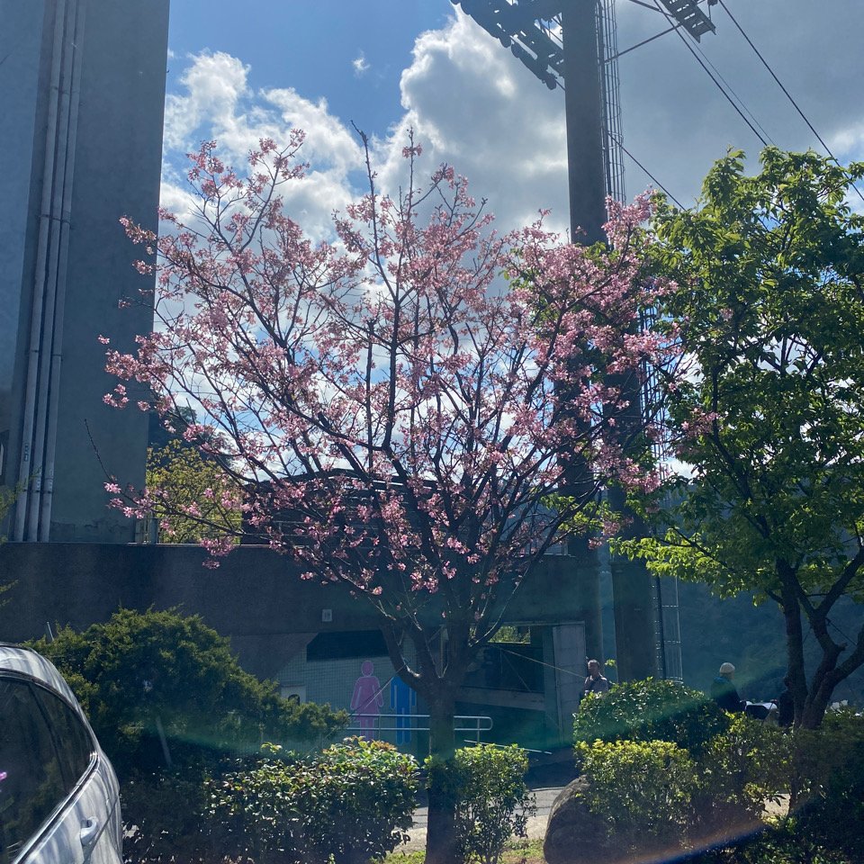 貓空_1305329