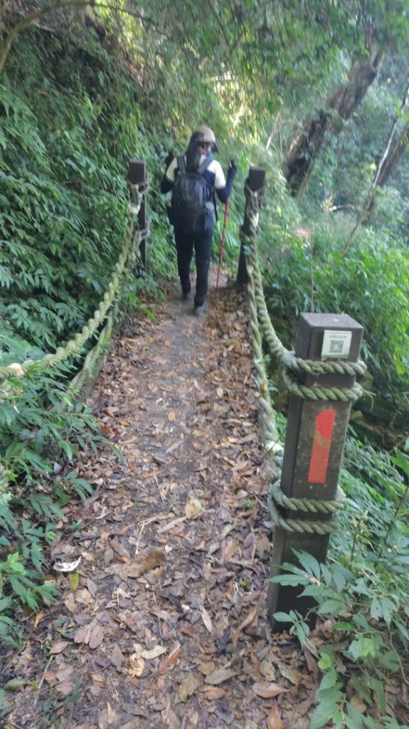 唐麻丹山 蝴蝶谷_2918995