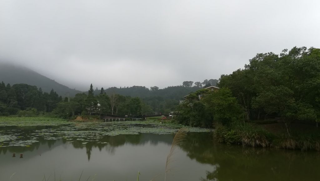 20180603南庄向天湖環湖步道_346499