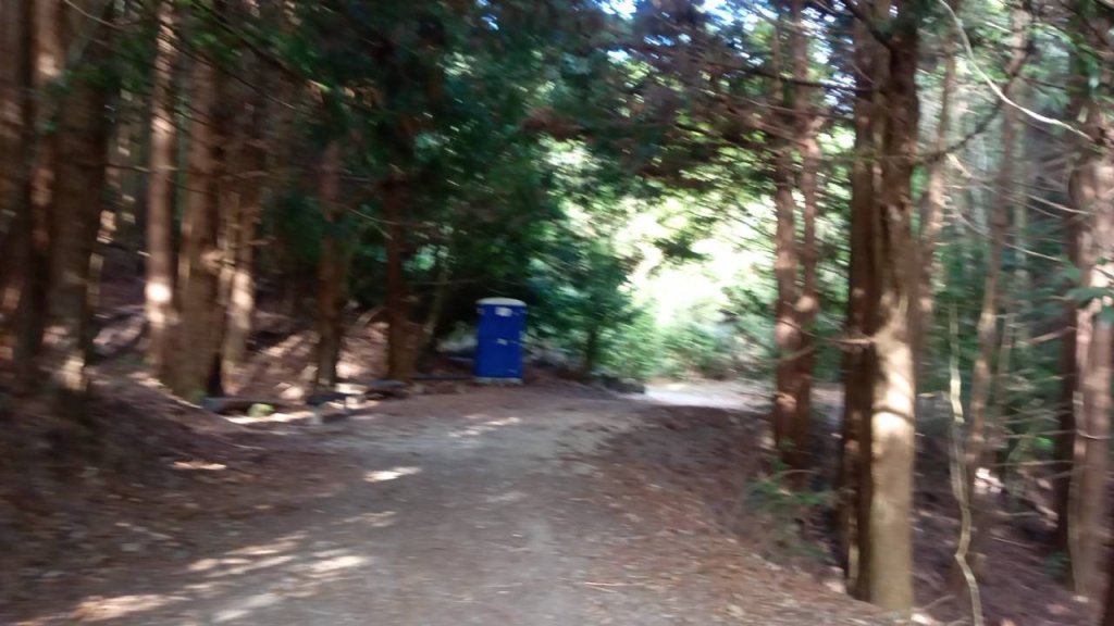 20221119 苗栗泰安雪見遊憩區 北坑山走走_1919853