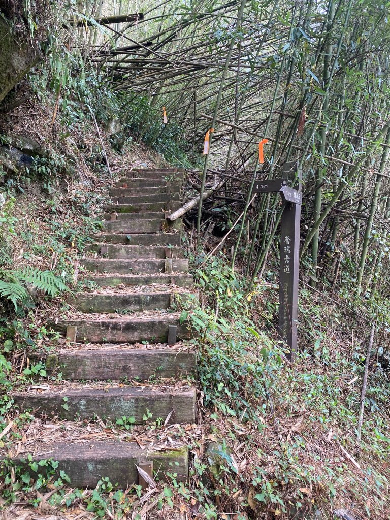 1120329奮瑞古道_2643508
