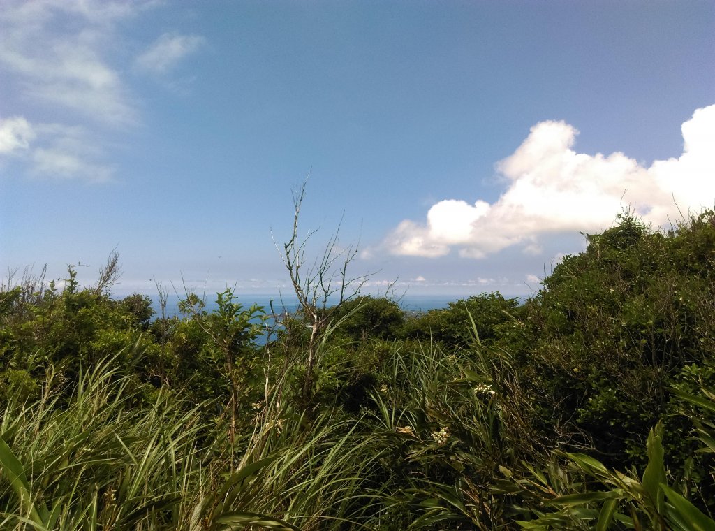 20180727大山母山_534350