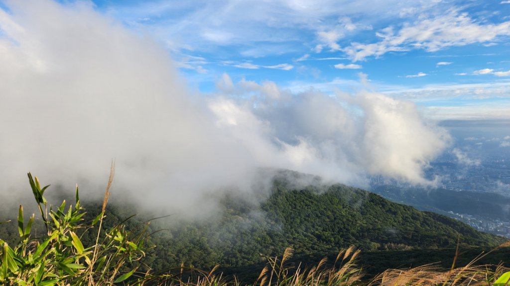 臺北大縱走第一段加碼版，忠義山，向天山，面天山，永春寮環狀步道，四季長廊觀景台，鳳梨宅，大屯自然公園_1921202