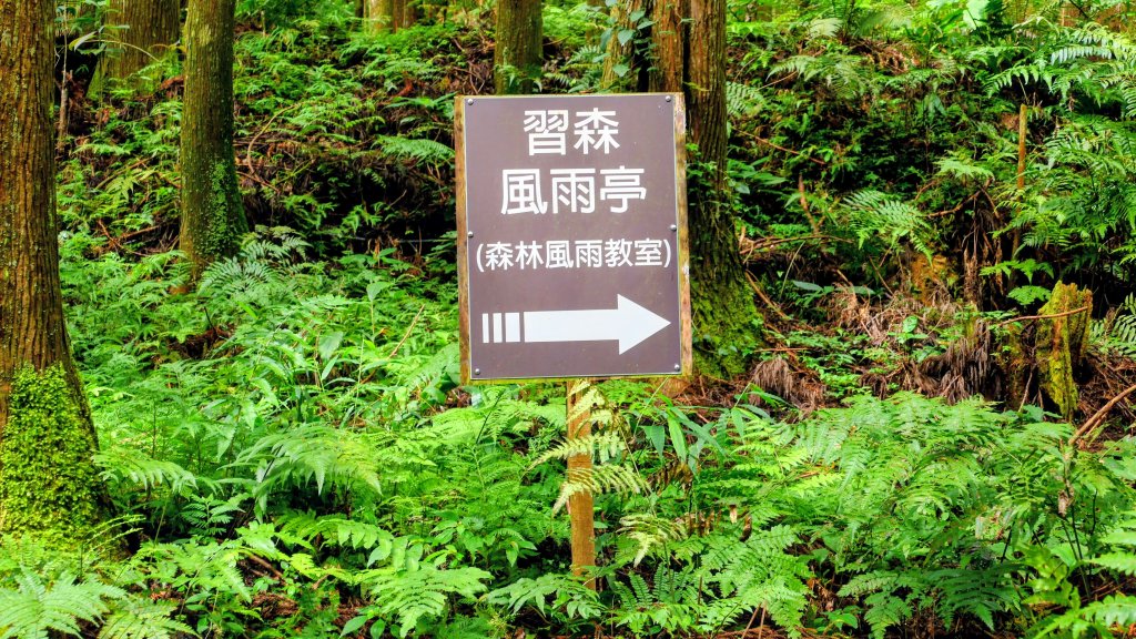 魔幻森林_2882086