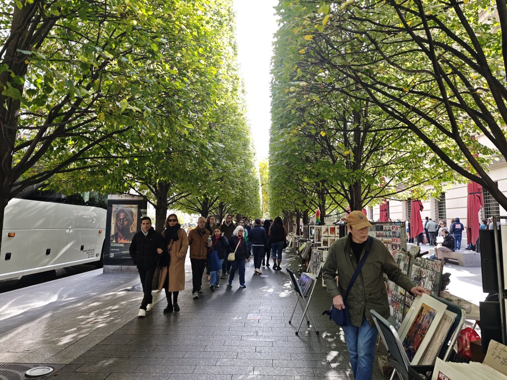 [紐約馬之行-12] 2025_1101 大都會藝術博物館_2945175