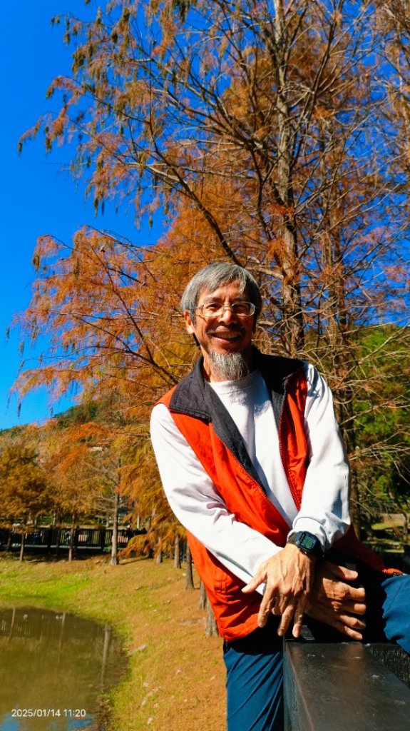 雙溪公園賞花&原住民公園落羽松&故宮1/14_2689984