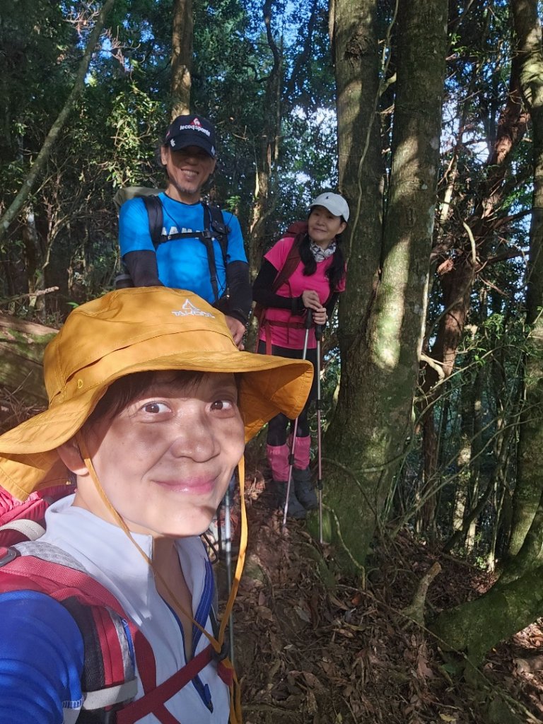 消失的鹿湖山_2353496