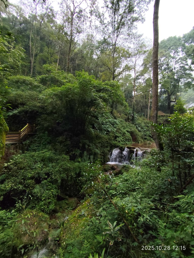 四川青城山→樂山市_2938222