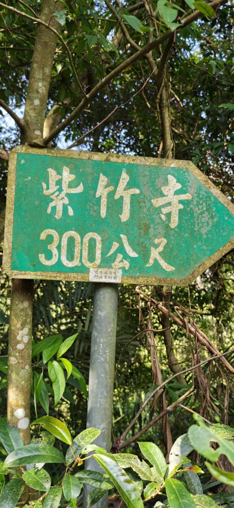 2026-0313 烘爐地步道-南勢角山-紫竹寺_3015893