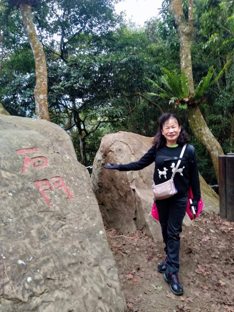 四訪苗栗的花果山-小百岳#037馬那邦山、雪霸國家公園管理處【小百岳集起來、苗栗-臺灣百大必訪步道】_2394221
