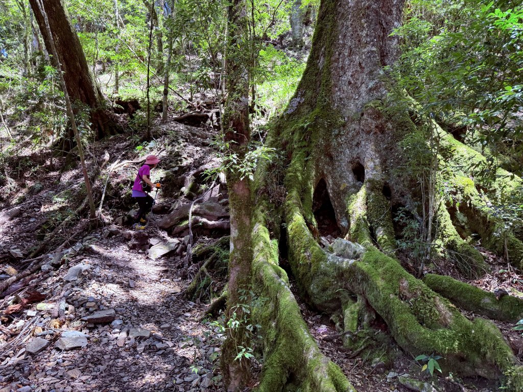 馬崙山 20250906_2889345