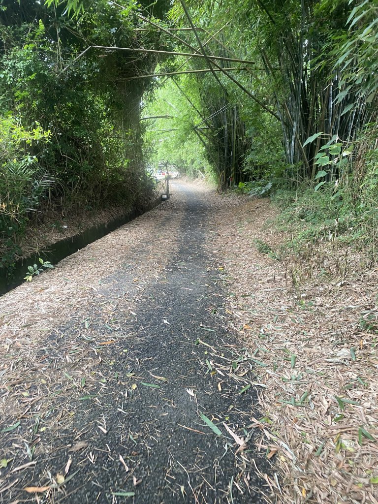 20250614-《皮皮獅秘密任務啟動！搶先探路三段崎古道｜森遊竹縣鐵粉任務大公開》_2852100