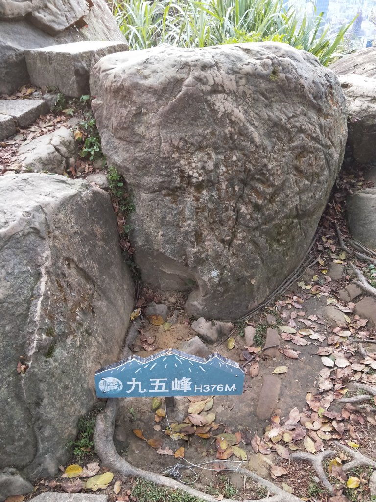 南港山縱走親山步道(拇指山、南港山、象山、九五峰)_1679341
