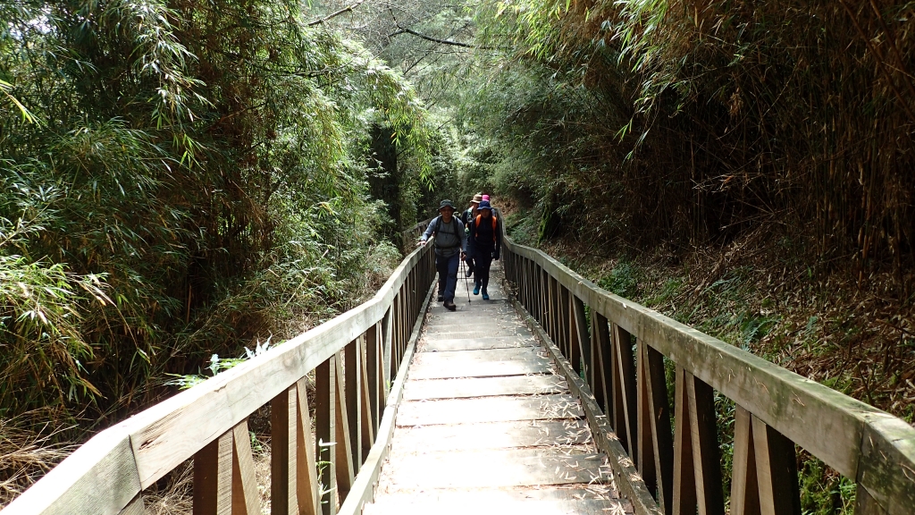 鹿林山與麟趾山O型走    來去賞玉山_57960