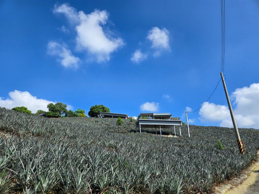 阿罩霧山、中心瓏步道（小百岳）封面圖