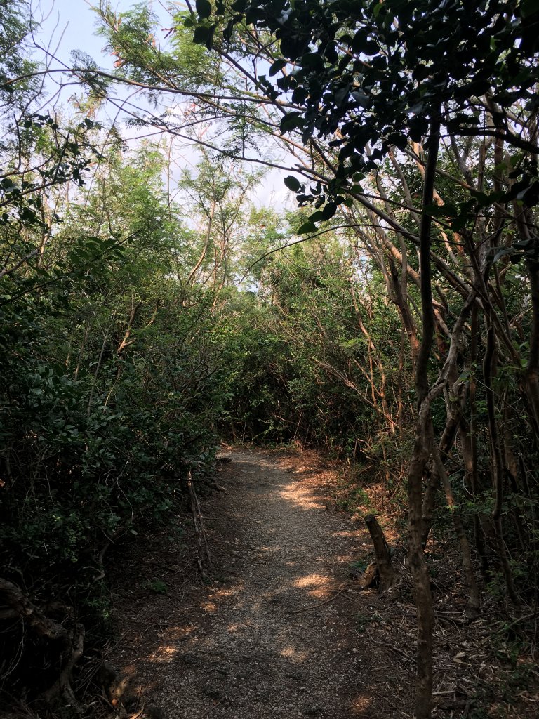 恆春祕境~龜山步道_903769