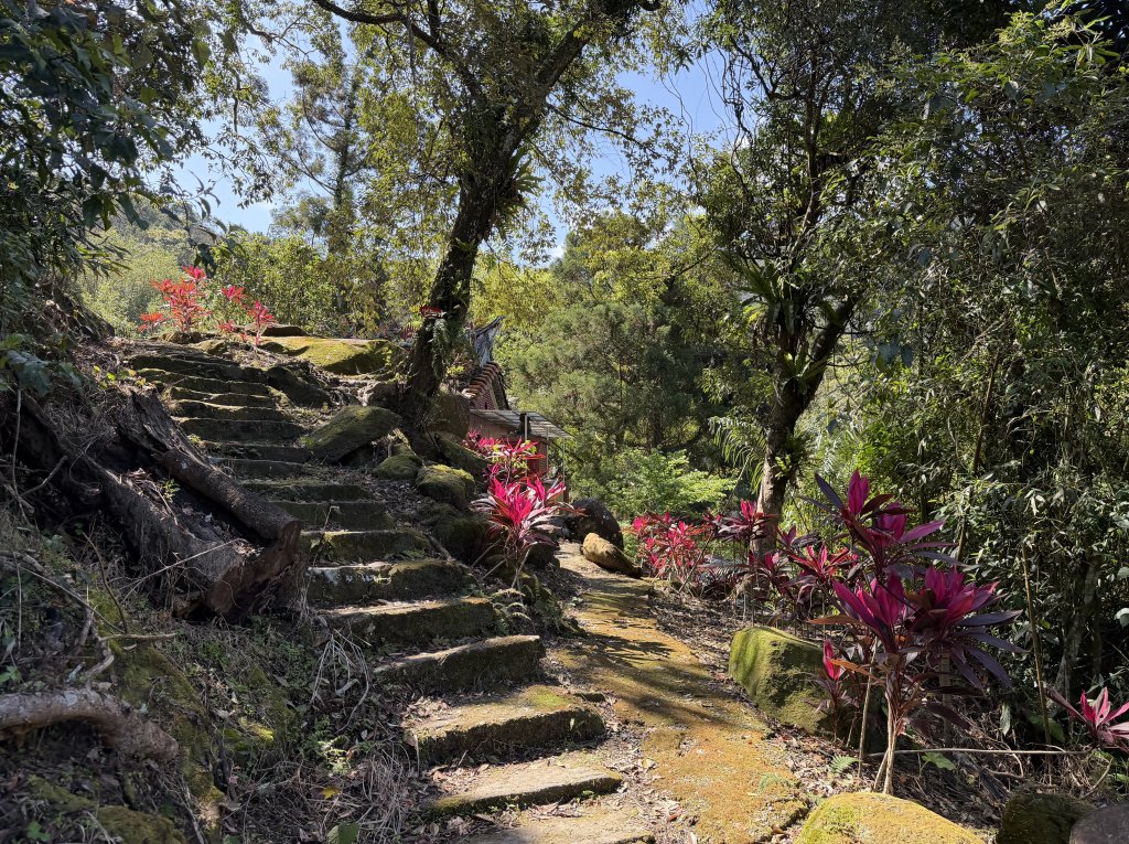[淡蘭古道] 2026_0315 南路第三段_四分子古道封面圖
