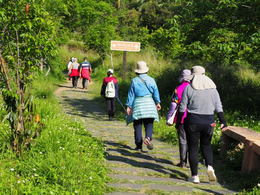 《台中》龍井竹坑南寮登山步道O型_915502