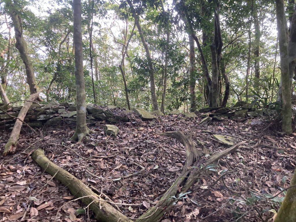 20231118-19六龜警備道_藤枝段_2353024