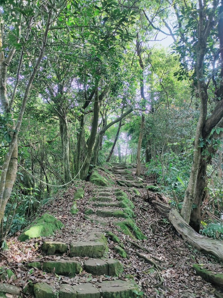 天上山、三粒半山與火焰山_1664941