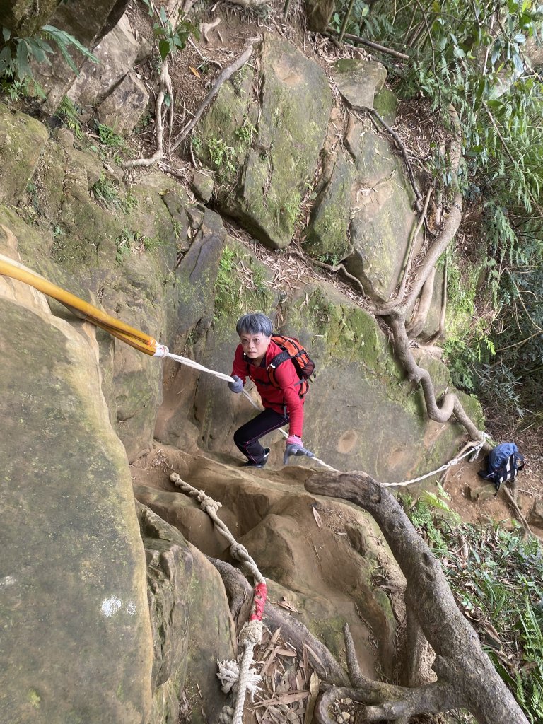 三峽五寮尖山_2764262