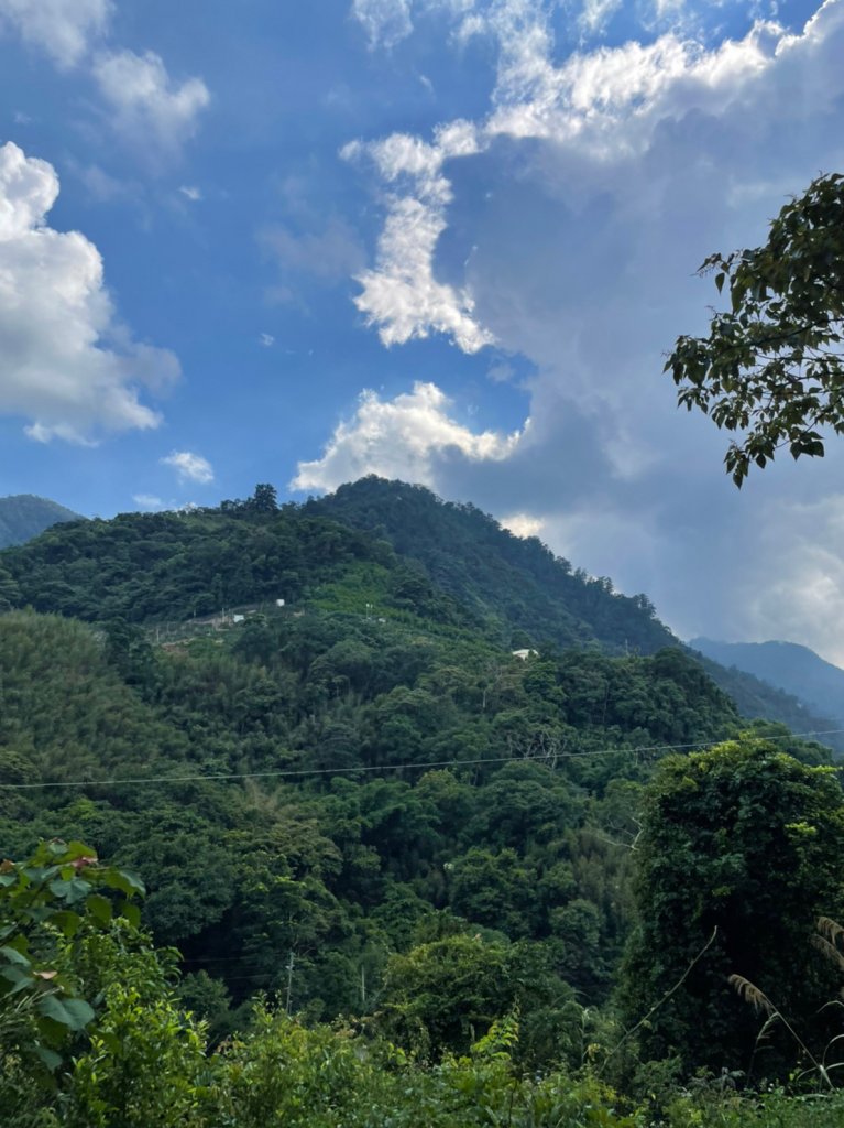 唐麻丹山_1776126