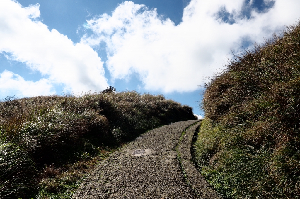 七星山主東峰走春_95400
