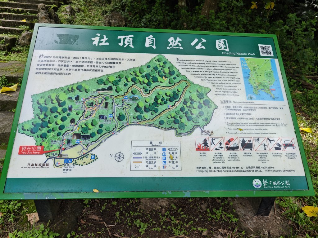 [百山百鳥尋旅-02/15] 2025_0809 社頂自然公園步道_2857219