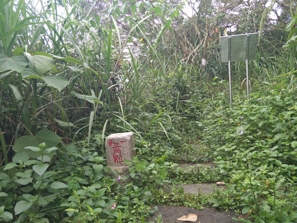 2018 09 06 九份二山步道_400094