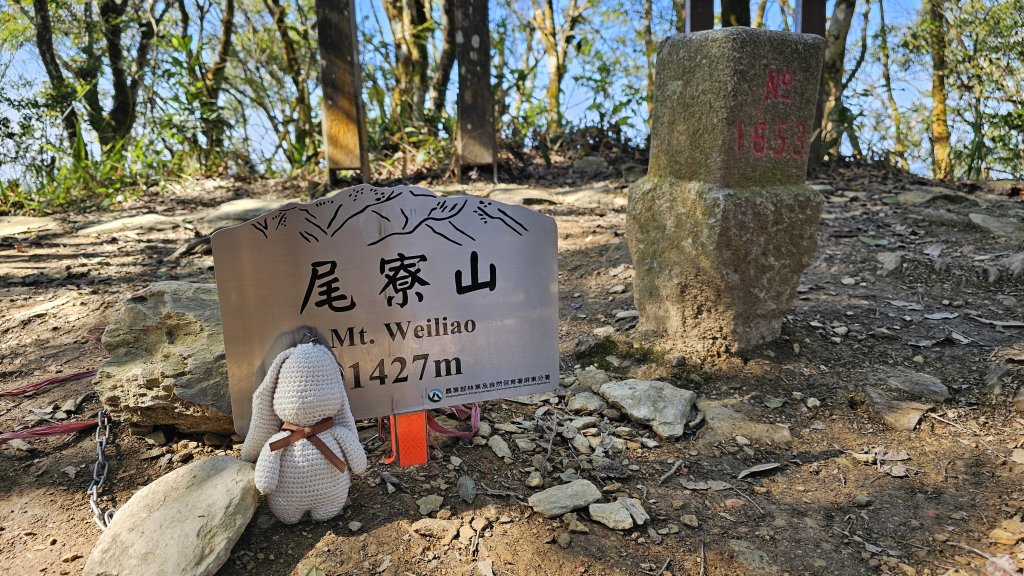 250123-八攀魔王小百岳#073尾寮山。想不到美美兔尾寮山五闖、六登、七衝已攻佔＜台灣森林悠遊網封面圖