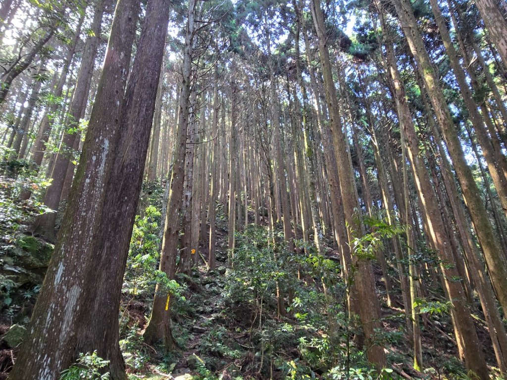 哈堪尼山_2761941