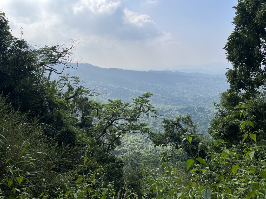 2023_1118 三腳南山_2353228