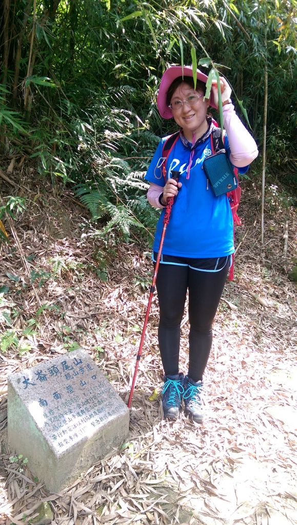 107.05.19 內湖大崙頭山+大崙頭尾山_335035