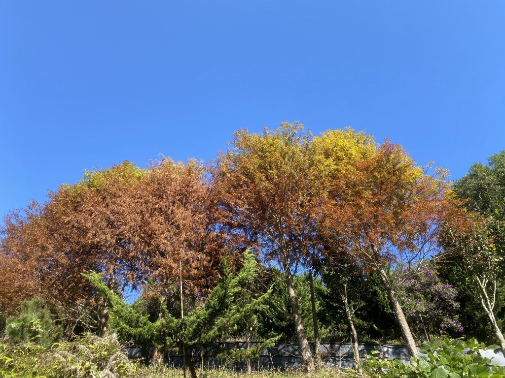 馬拉邦山_2412716