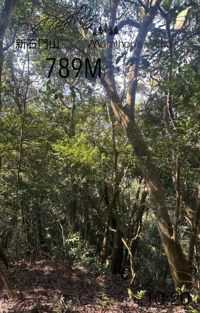 苗栗協雲宮_2712977