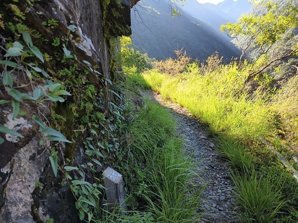 [玉山尋寶任務-07/12] 2025_0824 八通關雲龍瀑布步道_2870595