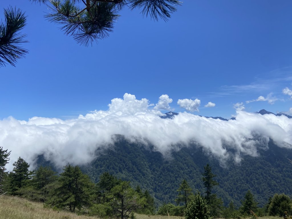 2024/8/30-31尋訪傳說中的鳥山~喀拉業_2587299