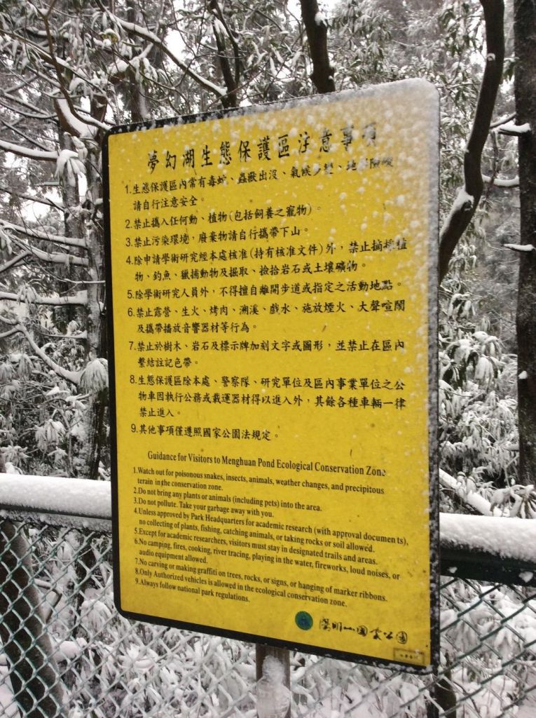 陽明山の雪_172117