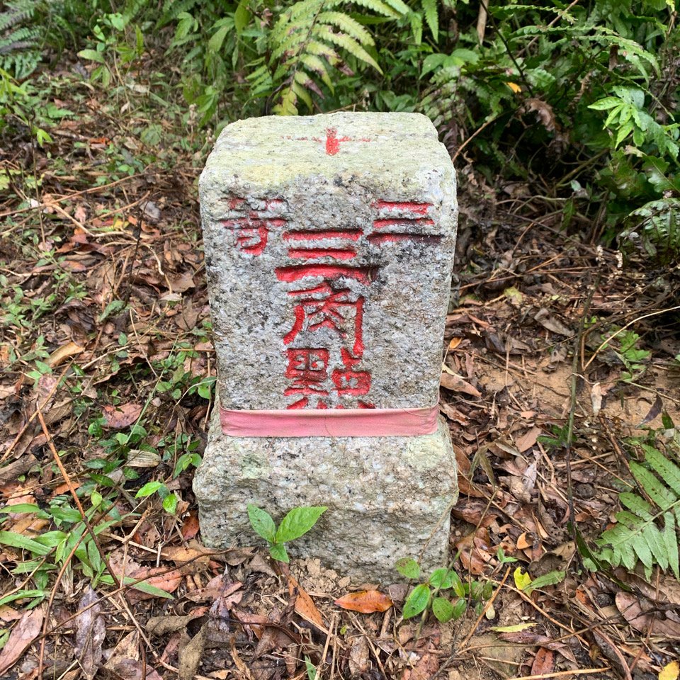 20260124屏東老佛山-老佛山南峰_2992211