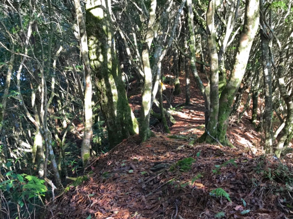 養老山走基那吉山_494224