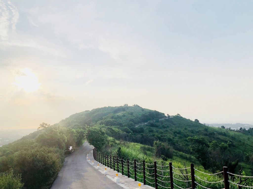 楊梅秀才登山步道_376360