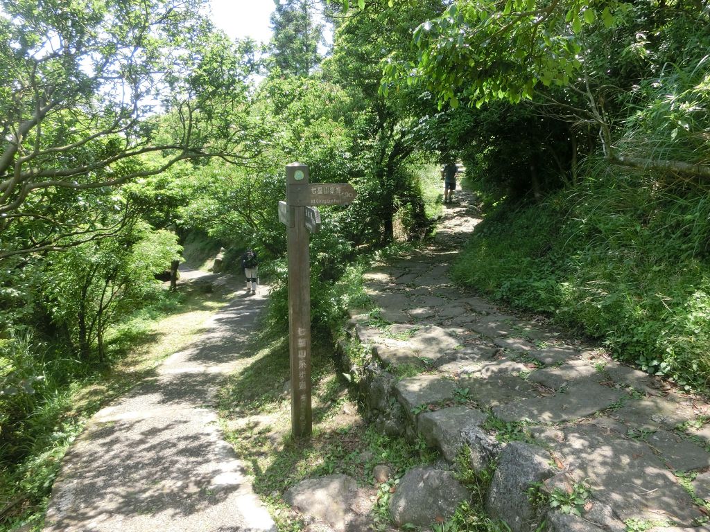 七星山主東峰．七星公園．冷苗步道_331925