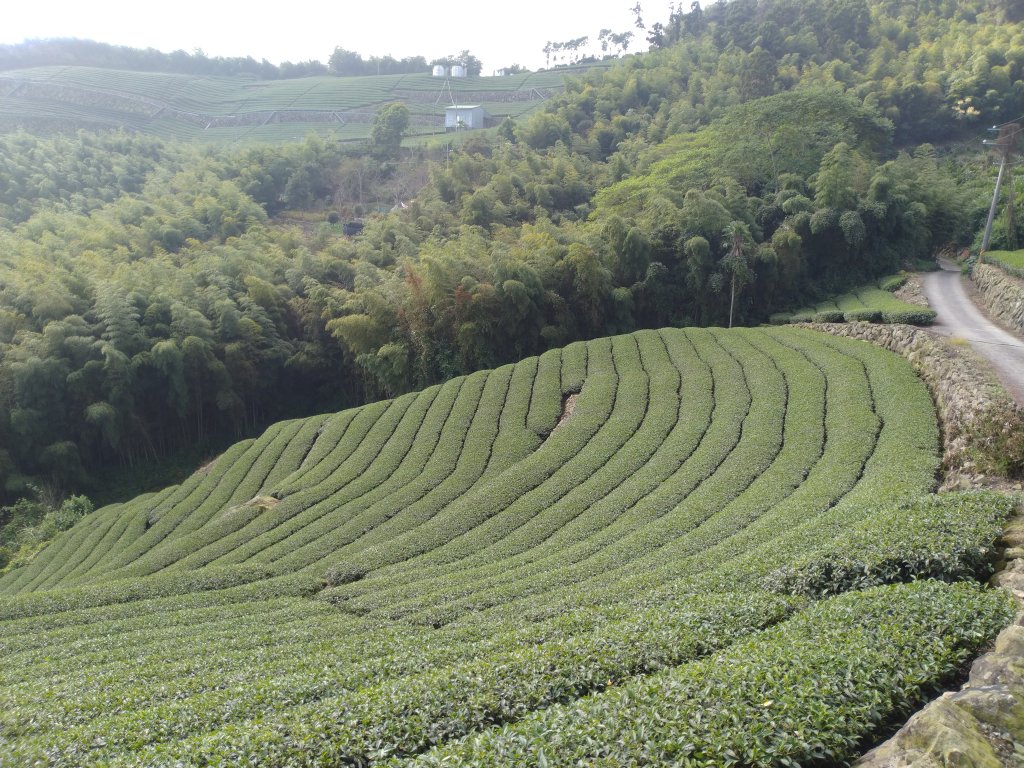 2020-2021 後棟仔 大尖山 二尖山_1527134