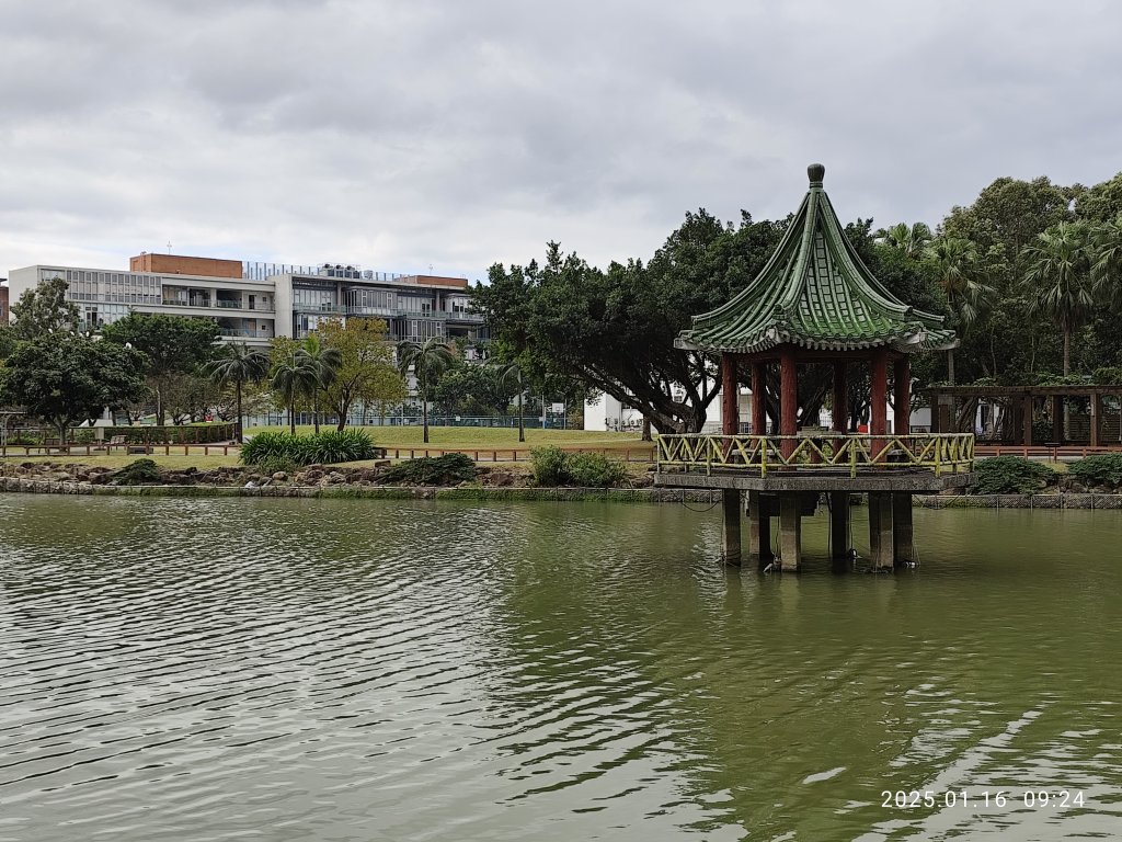 4-1 國立臺灣大學校園巡禮封面圖