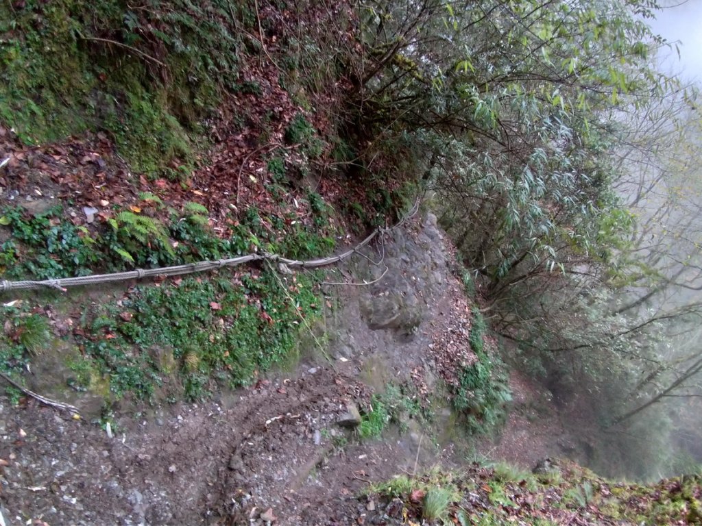 【花蓮縣秀林鄉】屏風山(單攻)_1231997