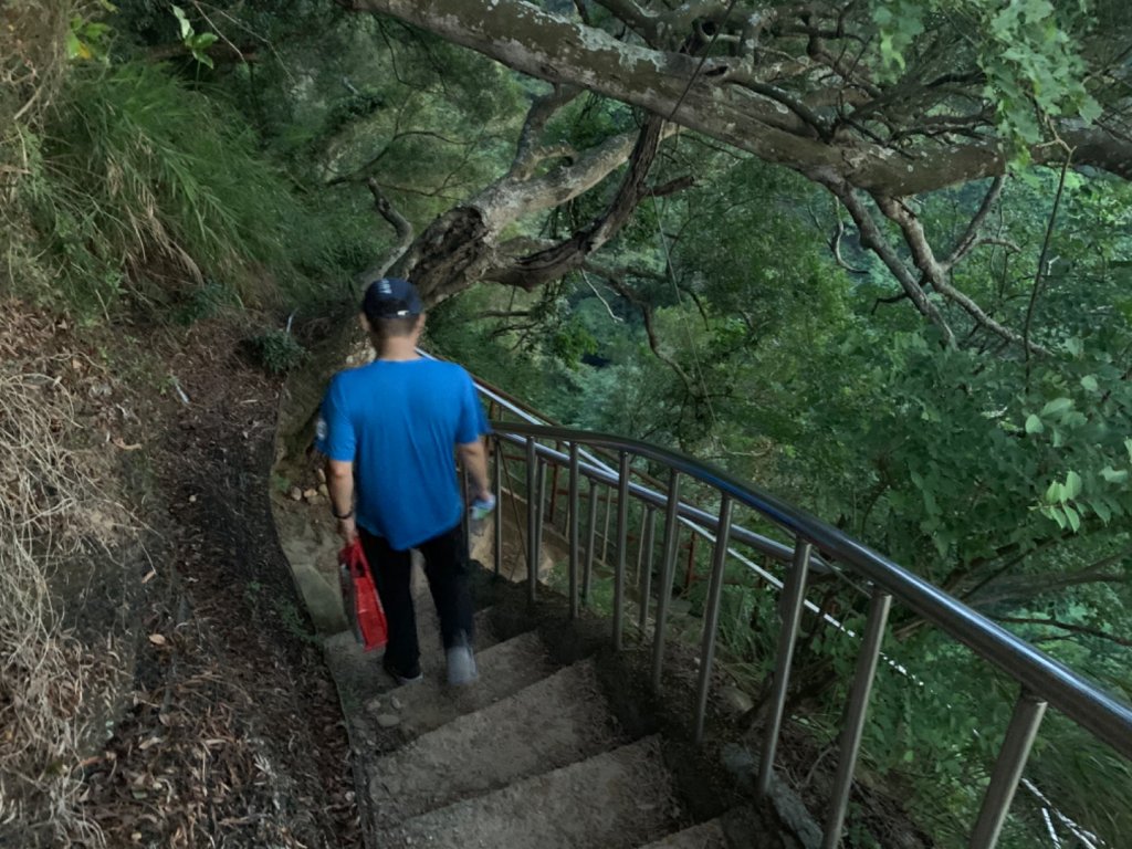 田中森林公園步道_1028884