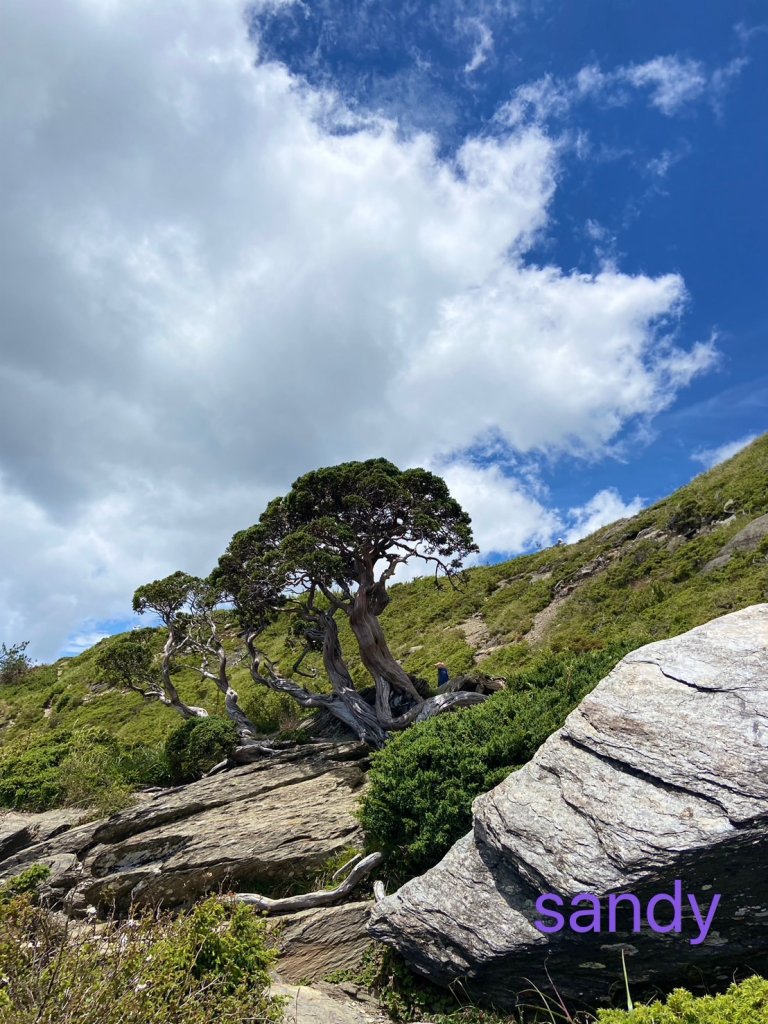 合歡北峰下小溪營地_2891598