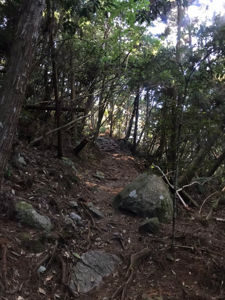 谷關七雄  老二  馬崙山  郊遊_1469054