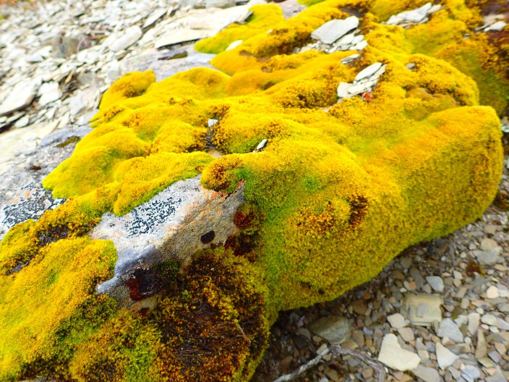 北一段 南湖前四峰_377954