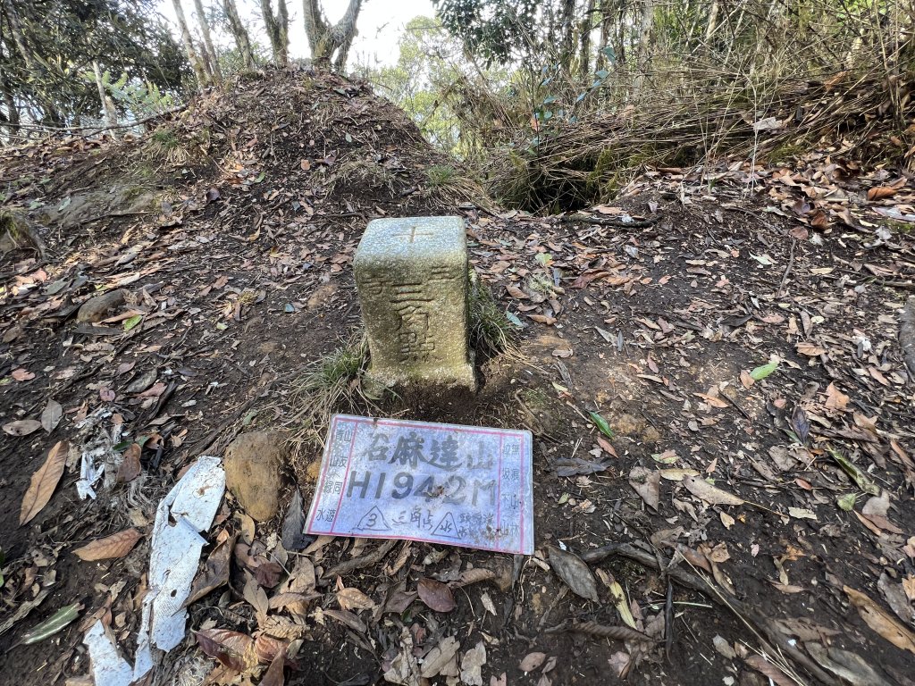 2023/01/26 新竹屯野生台山 石麻達山 錦屏山來回縱走_2015852
